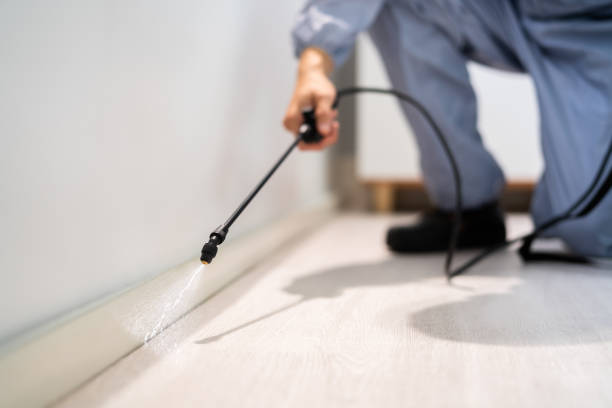 Licensed Termite Control service in Ithaca, MI - Nex Pest Control