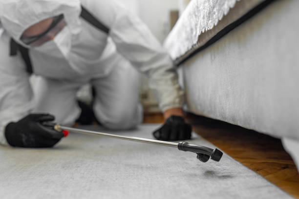 Professional Termite Control technician working in Ithaca, MI