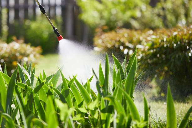 24/7 Emergency Termite Control experts in Ithaca, MI