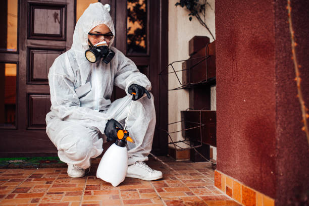 Reliable Termite Control contractor in Ithaca, MI by Nex Pest Control