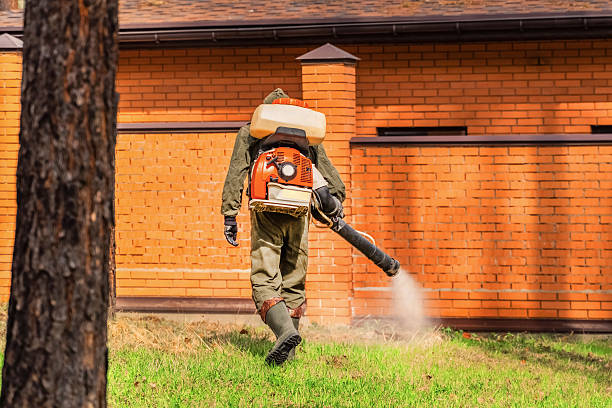 Top rated local Termite Control specialists in Ithaca, MI